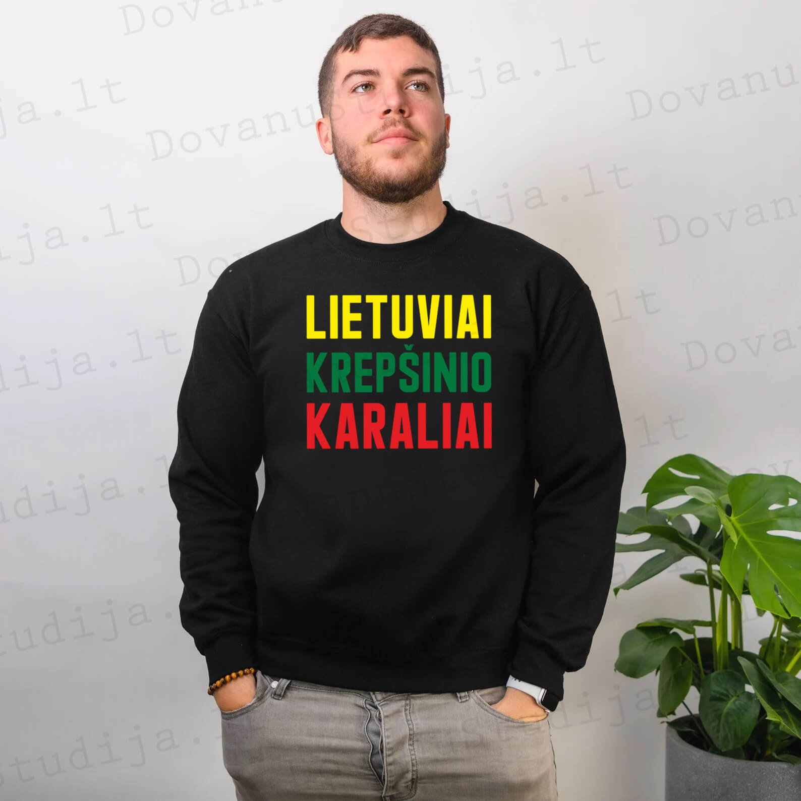 Džemperiai VYRAMS SPORTAS 003